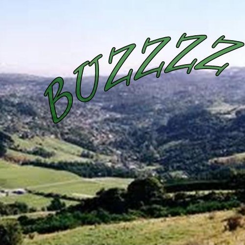 A buzz in the valley